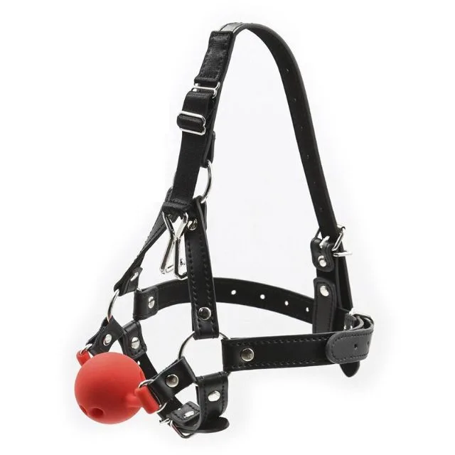 The Ultimate Guide to Ball Gags - Discover and Master the ...