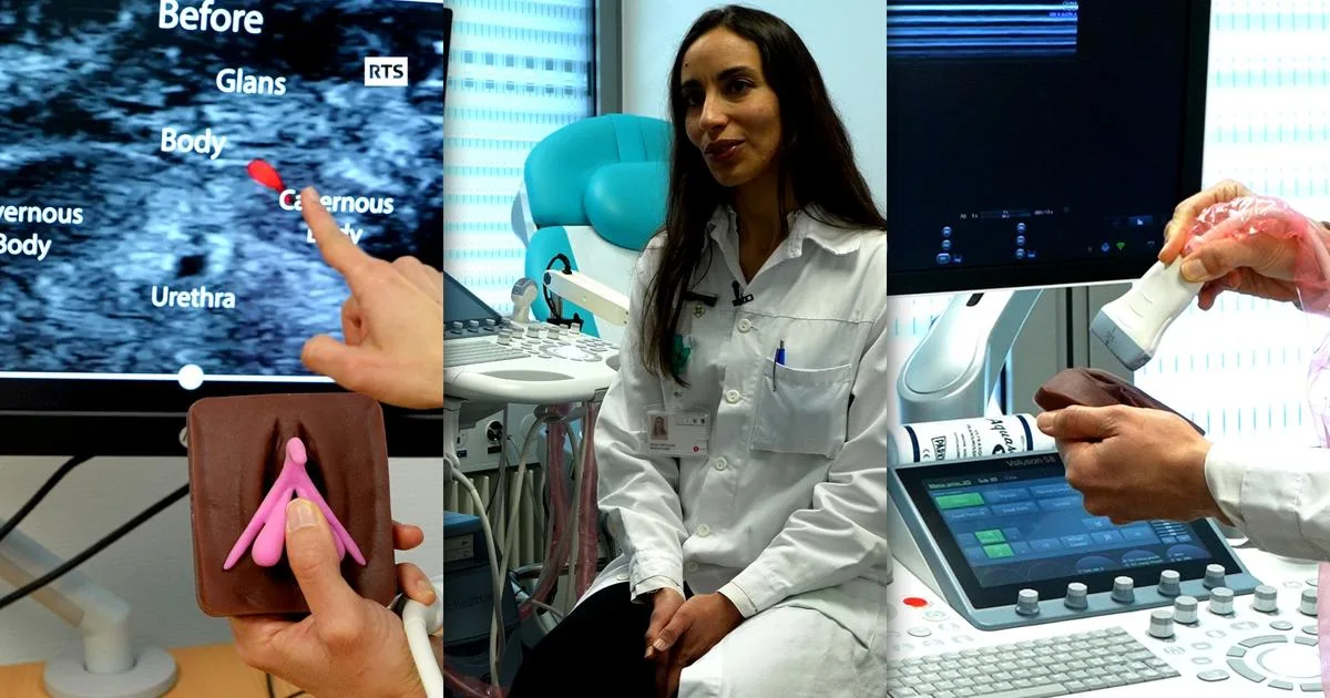 A groundbreaking study on the sensitivity of the clitoris and vulva, with ...