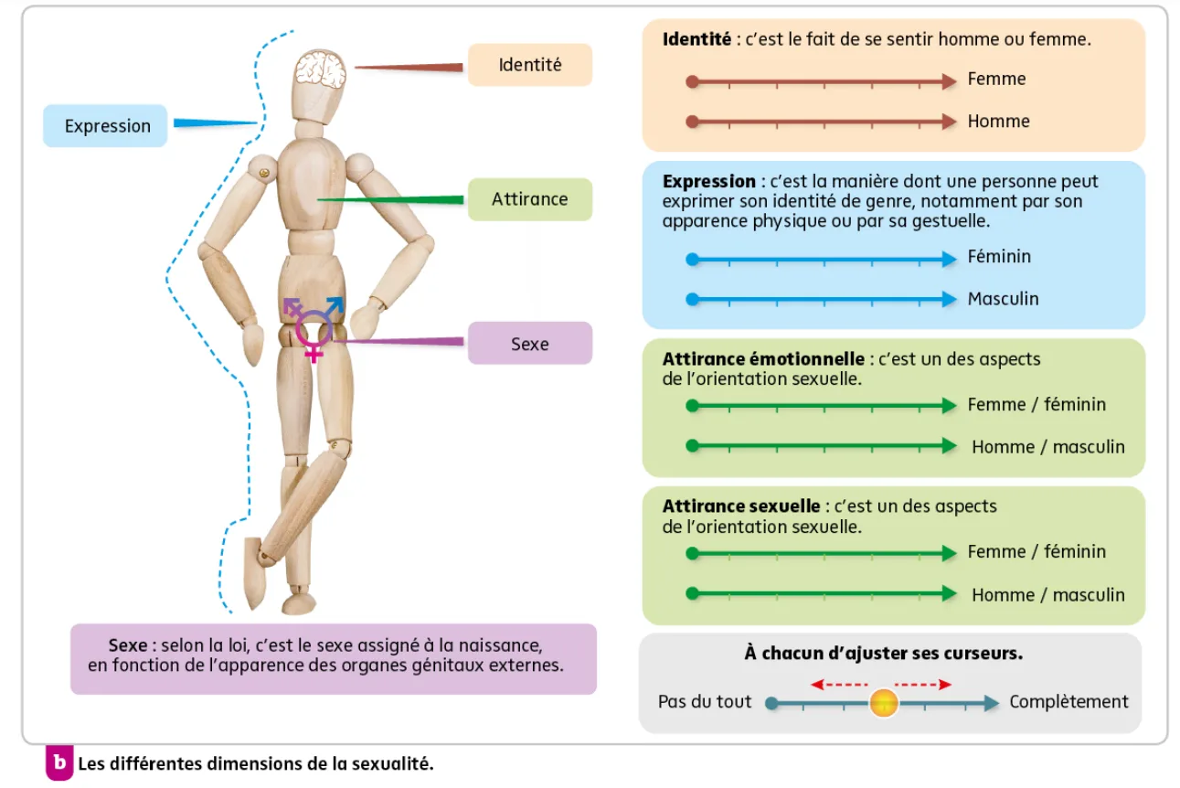 Qu’Est Ce Que L’Intimité: Définition De L’Intimité Selon L’Oms – LGEJ