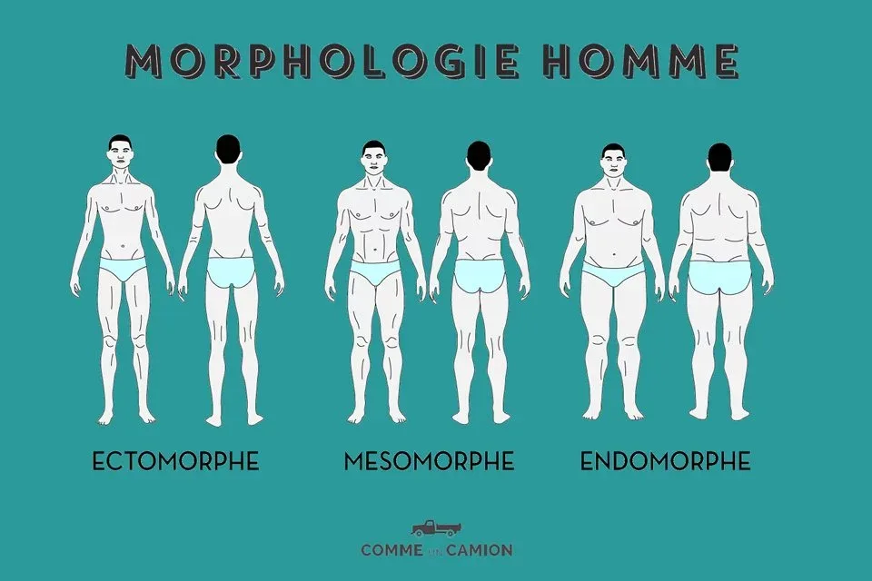 Infographie comparant string classique, micro-string, latéral et push-up sur des silhouettes variées (hanches larges, fines, musclées)