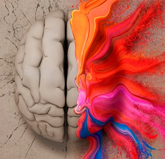Synesthésie, quand les sens s'emmêlent - KA…